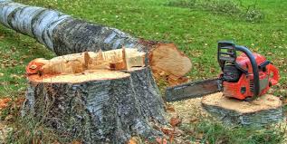  Sheboygan Falls, WI Tree Services Pros