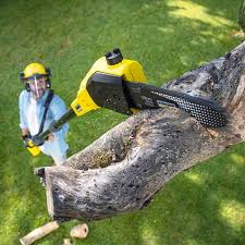 Best Soil Testing and Treatment  in Sheboygan Falls, WI
