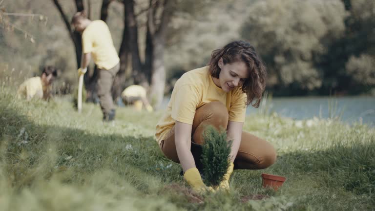 Best Lawn Disease Treatment  in Sheboygan Falls, WI