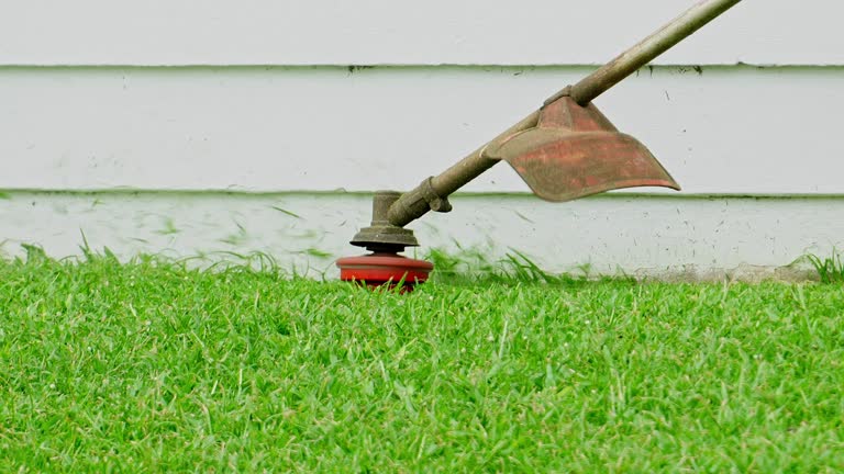 Best Pest Control for Lawns  in Sheboygan Falls, WI