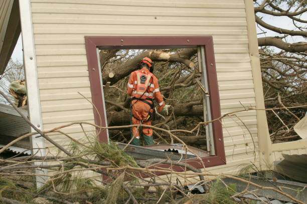Best Tree Health Inspection  in Sheboygan Falls, WI
